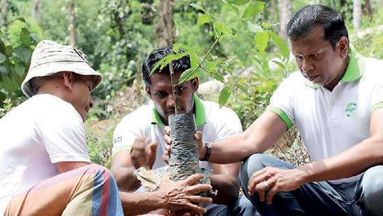 GRI plants 450 rubber trees launching ‘Greening Our Planet’ initiative 