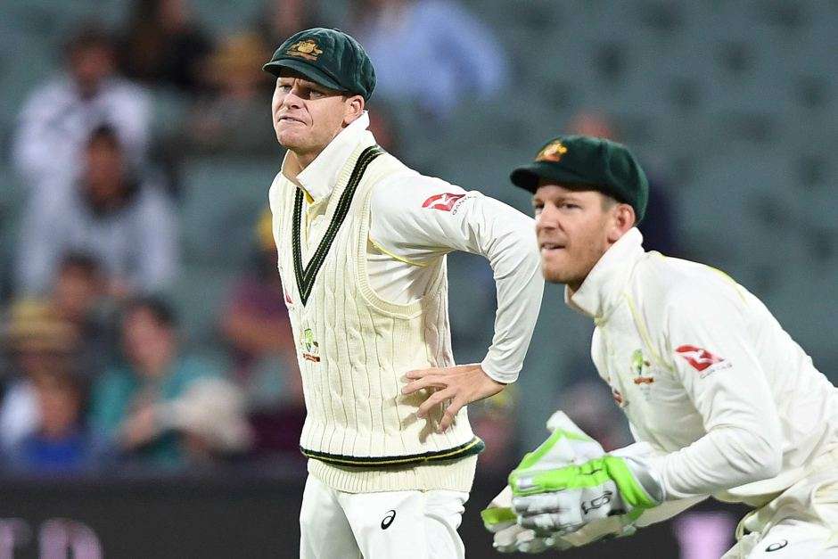 Aussie skipper Paine backs Smith’s return to captaincy