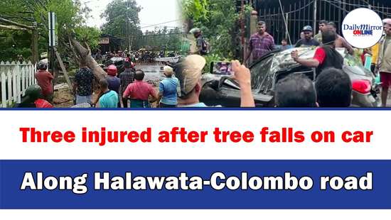 Three injured after tree falls on car Along Halawata-Colombo road