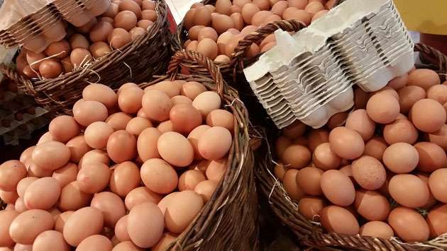 Egg producers hit by price drop due to over-production