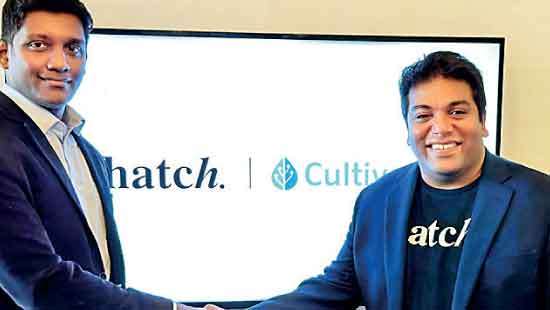 Hatch Fund Singapore makes first investment in ‘Cultive8’ agri-tech startup