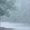 Rainy conditions to intensify with showers above 100 mm pegged