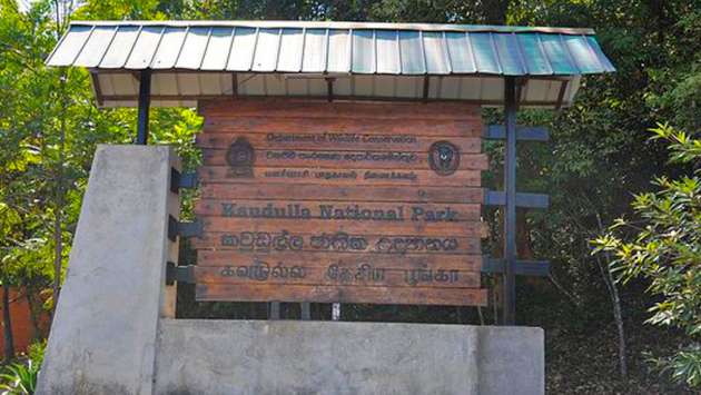 Kaudulla safari ticket scam: 10 Jeeps seized, wildlife officers suspended