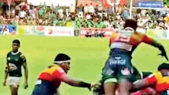 When lions play rugby!