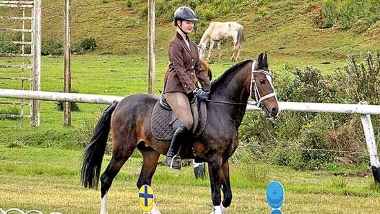 Promoting a culture of inclusivity  with therapeutic horse and pony riding