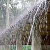 Showers expected in Northern, North-Central, Eastern Provinces, Matale