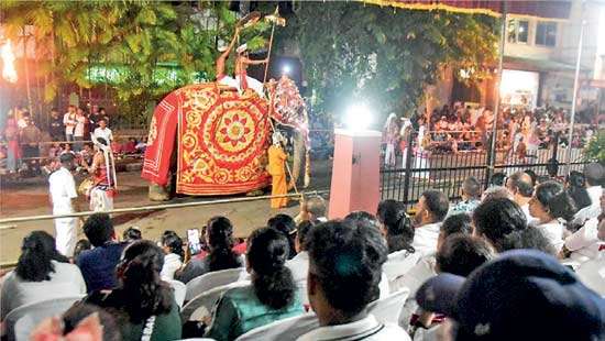 Ceylinco Life treats premium clients to exclusive Kandy Perahera experience