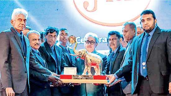 Flora Tissues celebrates 40 years of unmatched quality and excellence in 2023