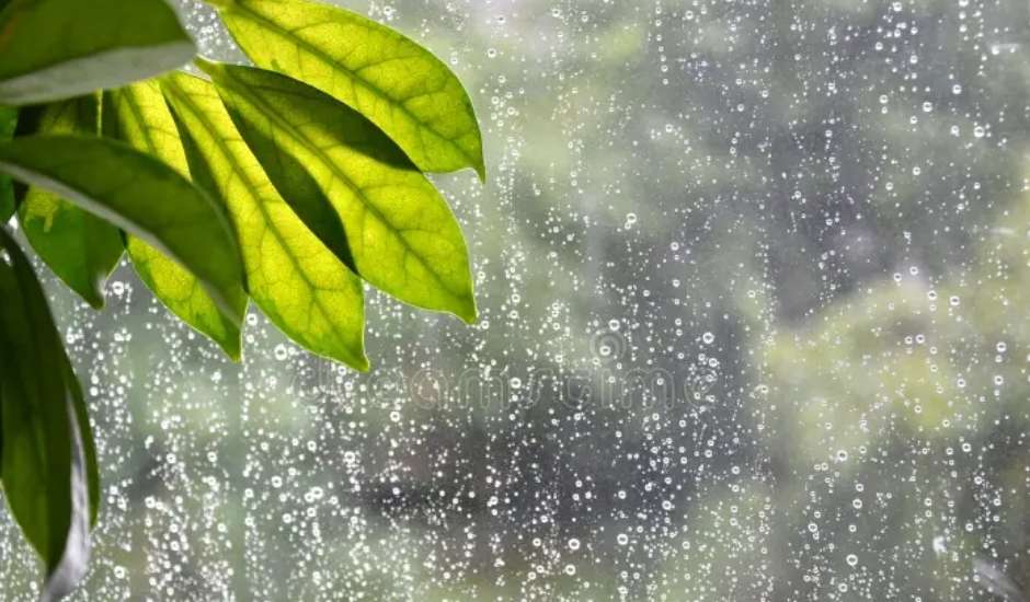 Rainfall to increase today and tomorrow: Met Dept.