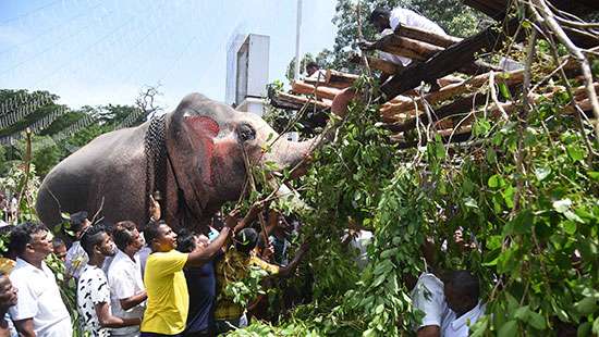 Athupandalama ritual at Kataragama Devalaya