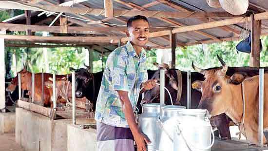 Going local for dairy is the healthier, smarter choice