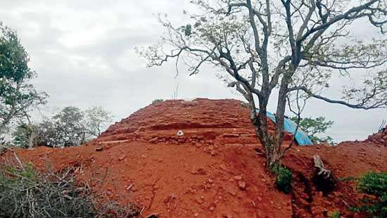 Excavations in Nelugala Archaeological site  Report of findings to be submitted to Minister