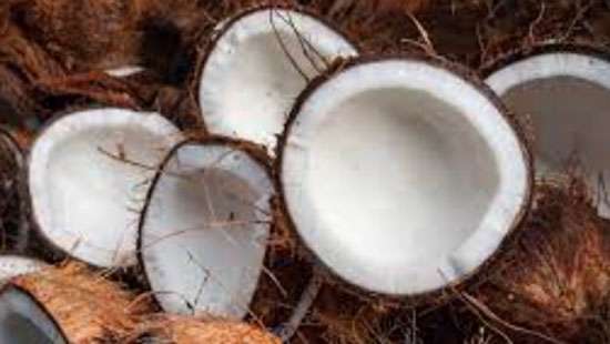 Govt. to import coconut kernel equivalent to 200 Mn coconuts