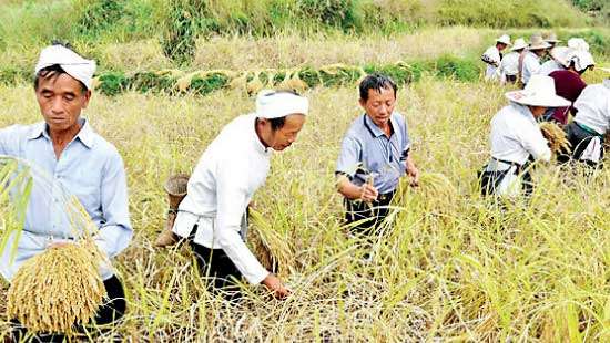 CHINA TACKLES “relative poverty”  after eradicating  “extreme rural poverty”