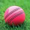 Cricket to trial pink balls at bad light stoppages