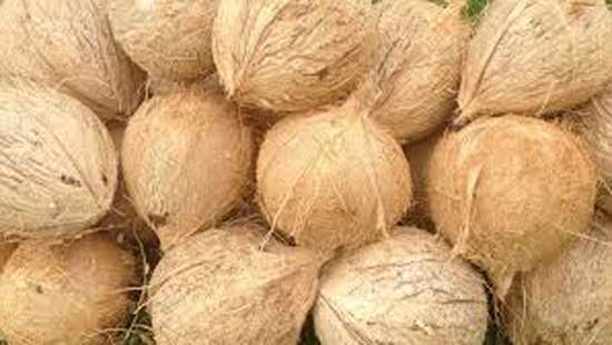 No maximum retail price for coconut