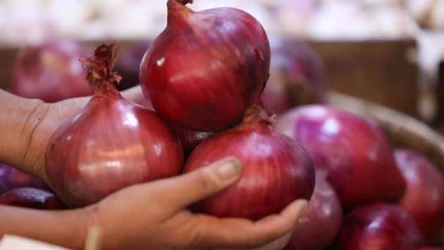 Government onion rules favor importers, farmers charge