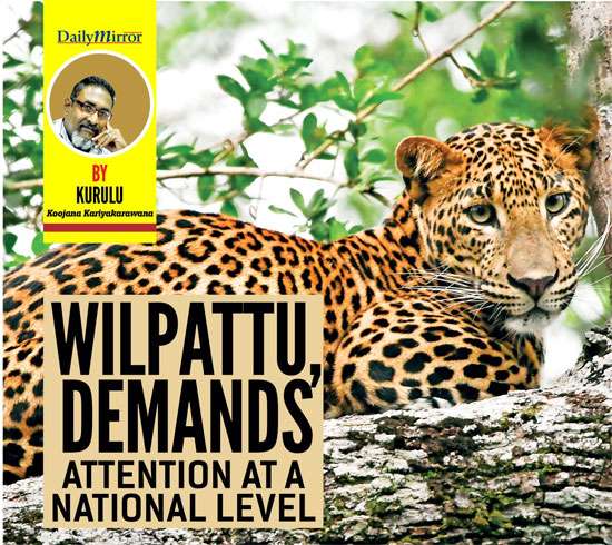 Wilpattu, demands attention at a national level