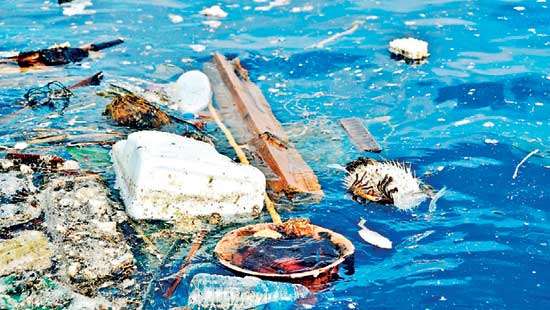 World oceans day 8th of june 2020  Take the pledge on behalf of our Oceans!