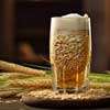 Rice shortage caused due to increased use in beer production: Mill Owners