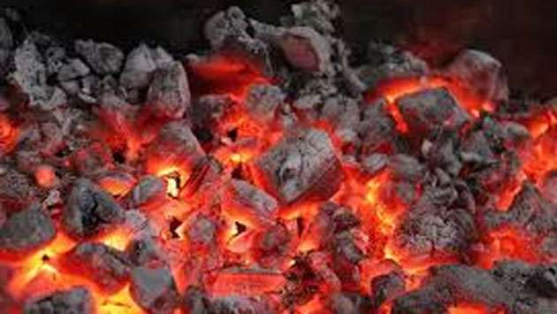 Energy crisis if coal tender cancelled, Govt weighs options