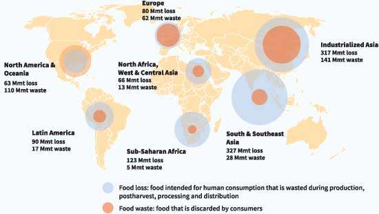 Identification of extent, causes and prevention of food losses and waste