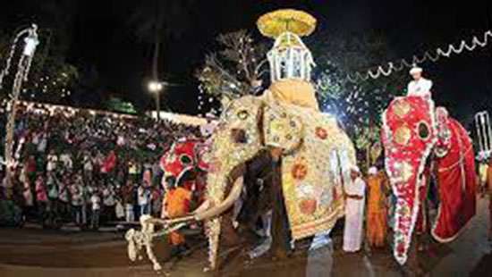 Shortage of elephant participation for Kandy Esala Perahera