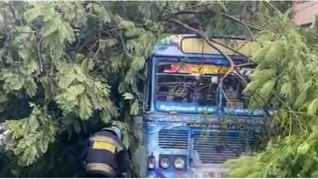 Tree falls on bus in Olcott Mawatha