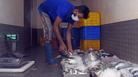 Fish for affected areas...