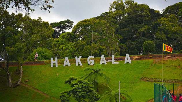 Hakgala Botanical Garden Set for New Eco-Tourism and Plant Conservation Developments
