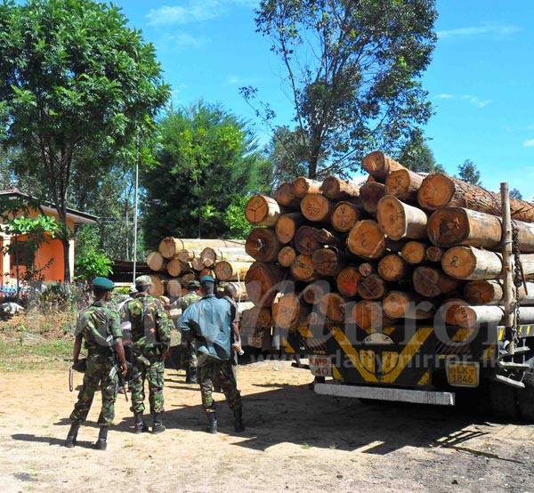 Timber lorries taken into custody