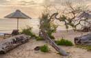 Kuchchaveli—Sri Lanka’s new tourism hotspot