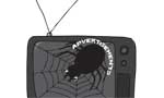 Gross infringement of TV viewers’ rights