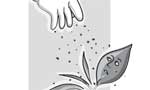 Stop this poisoning of our tea - EDITORIAL