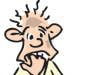 Waking to reality after CHOGM - Editorial