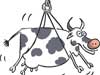 Bulls' eye for Kiribanda - Editorial