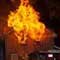  Maid sets Saudi employer's house on fire