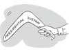 Sri Lanka needs a new constitution - Editorial