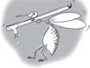 Anti Dengue campaign: go to the gutters  - EDITORIAL