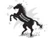 Executive presidency root cause of crises - Editorial