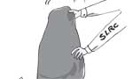 Sri Lanka decides - EDITORIAL