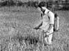 Food Contamination,  Human Health and the State