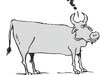 Cock and bull talk about meat  - Editorial