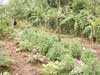 MDGs not achievable by 2015