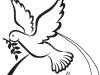 Demarcation of the lines  of authority essential for peace