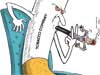 405 days and counting - Editorial