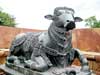 Be engrossed in Lord Siva