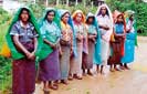 Plantation companies say massive wage hike “inconceivable”