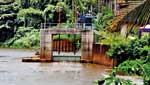 Poisoning Kelani River, slow and steady 