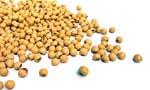 Soy and other legume nutrition towards vegetarianism
